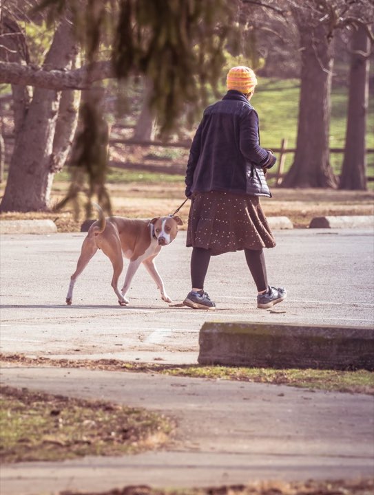 公園・自然のイメージ