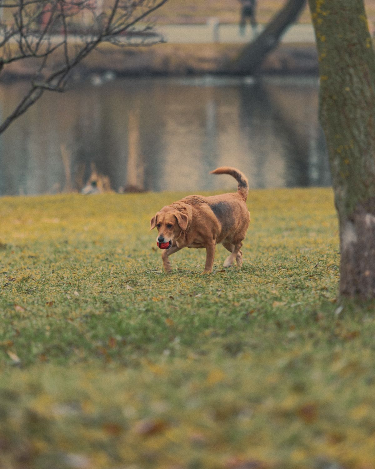 公園・自然のイメージ