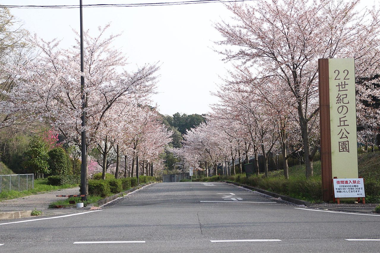 22世紀の丘公園（掛川市）の写真