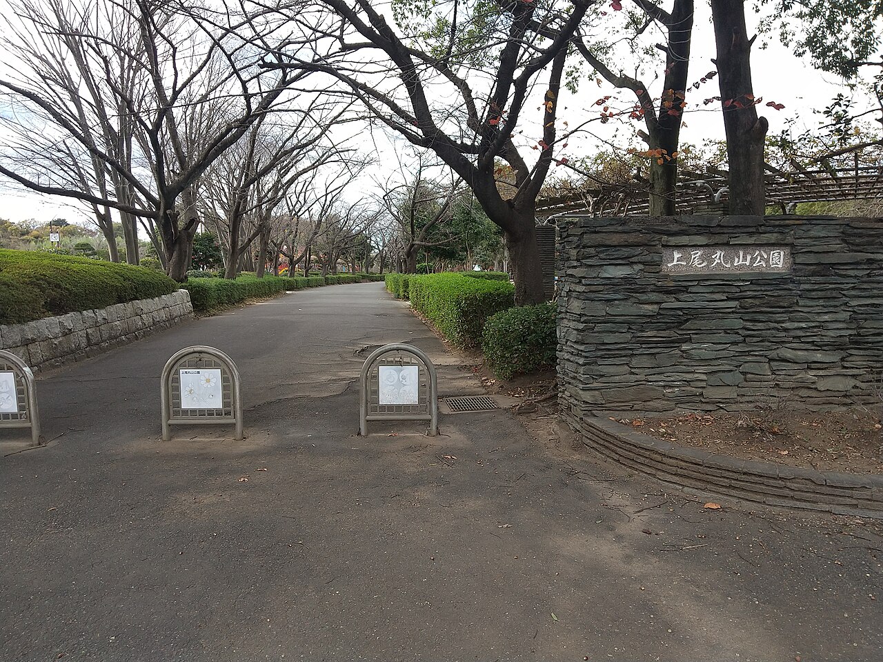 上尾丸山公園（上尾市）の写真