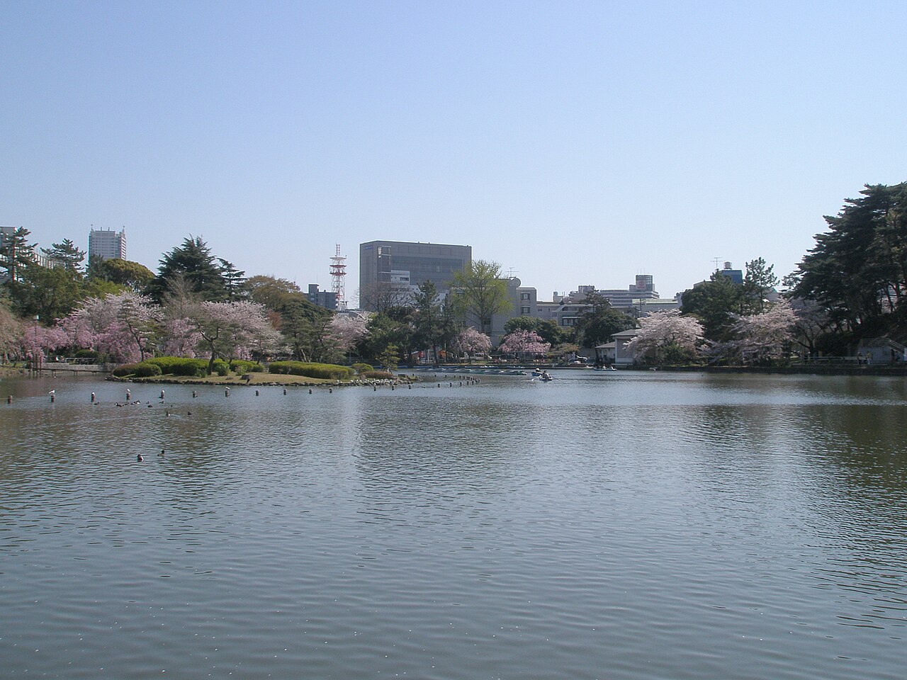 千葉公園（千葉市）の写真