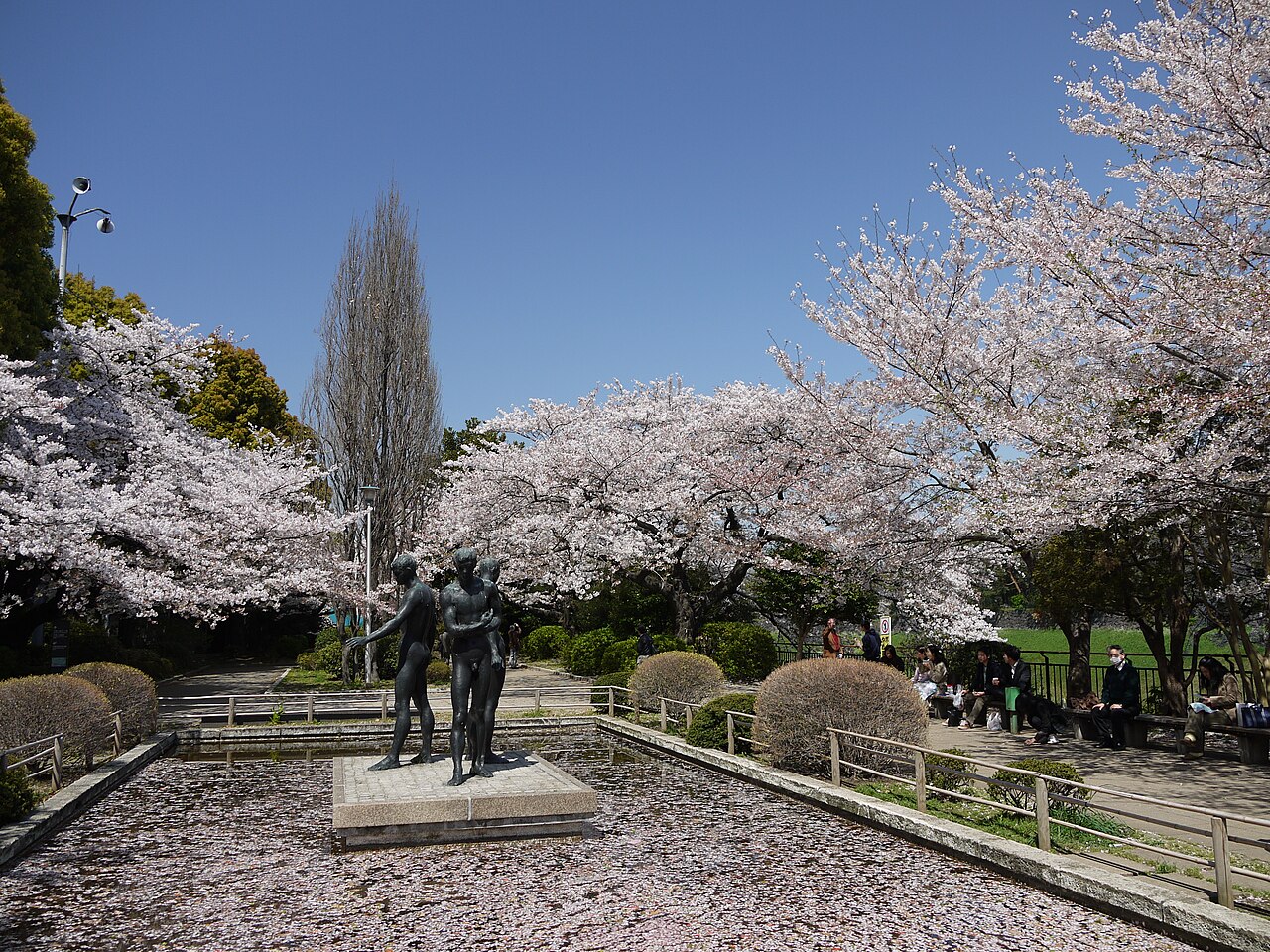 千鳥ヶ淵公園（千代田区）の写真
