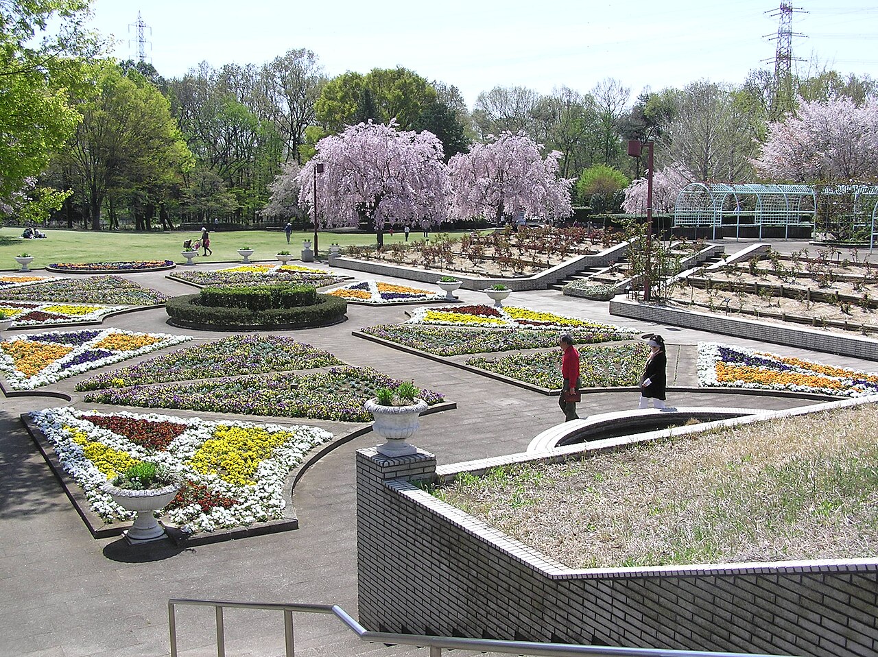 智光山公園（狭山市）の写真