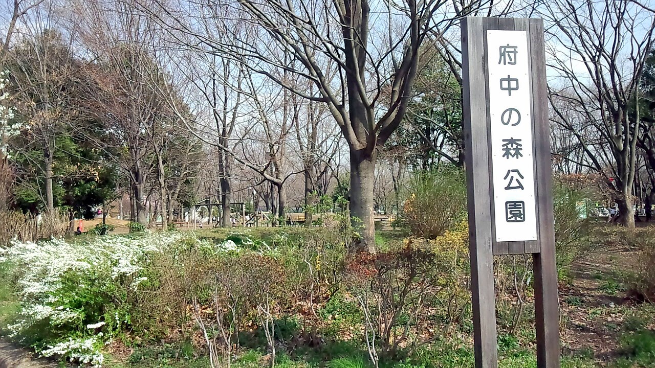 府中の森公園（府中市）の写真