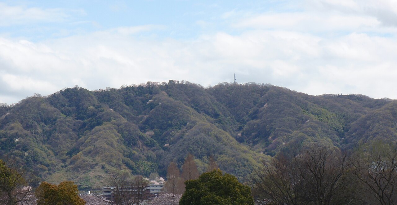 深北緑地（大東市）の写真