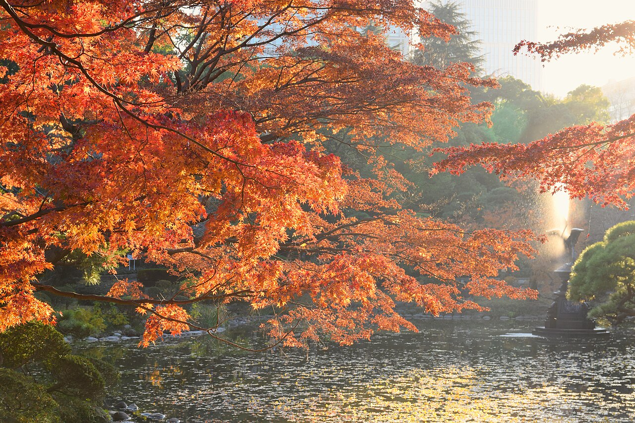 日比谷公園（千代田区）の写真