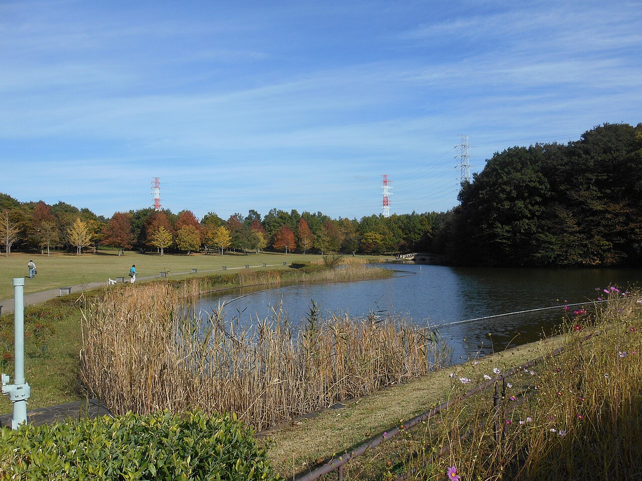 千葉県立 北総花の丘公園（印西市）の写真
