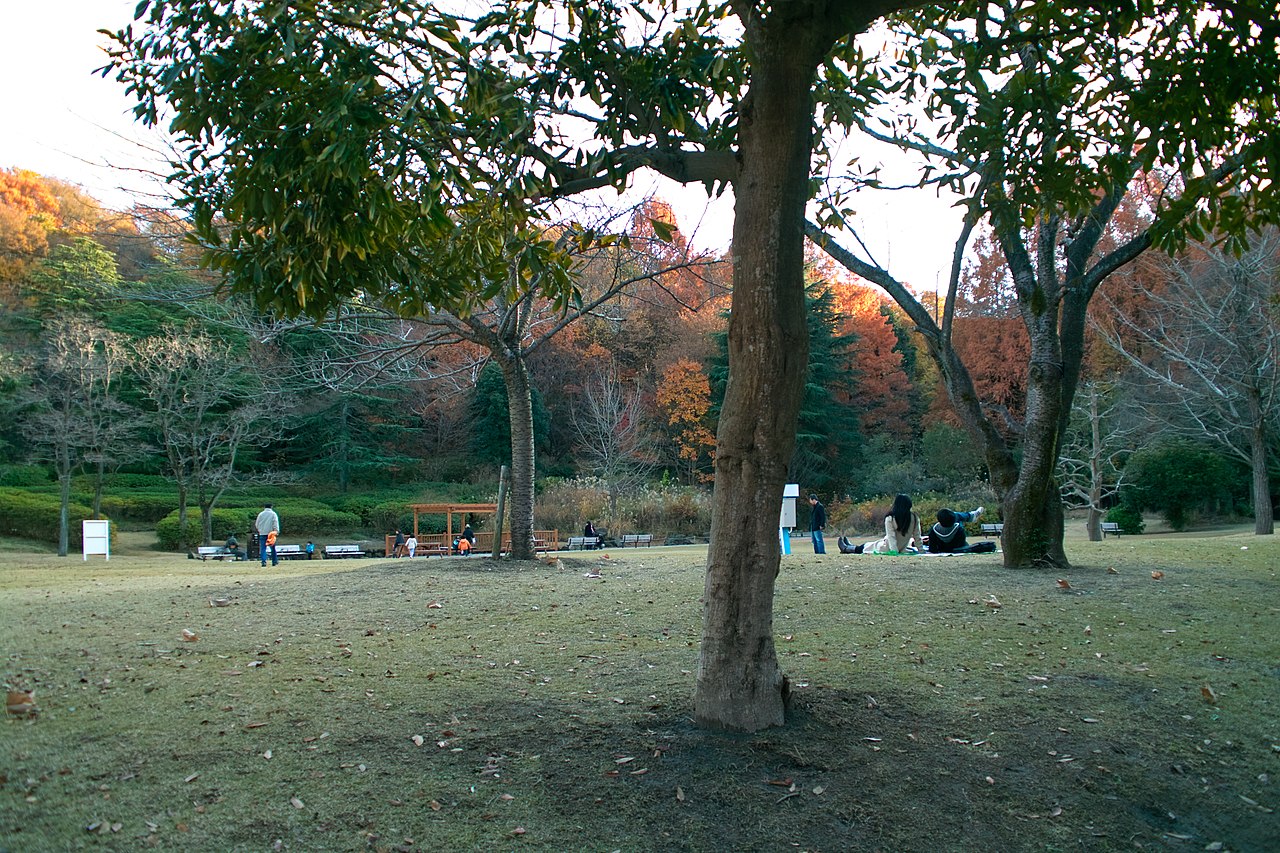 生田緑地（川崎市多摩区）の写真