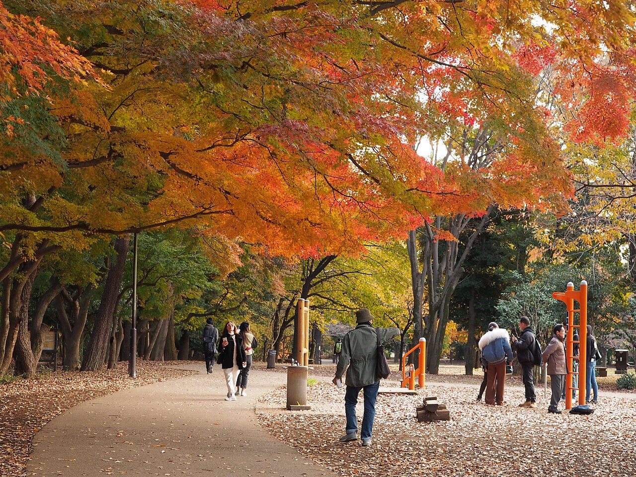 井の頭恩賜公園（武蔵野市）の写真