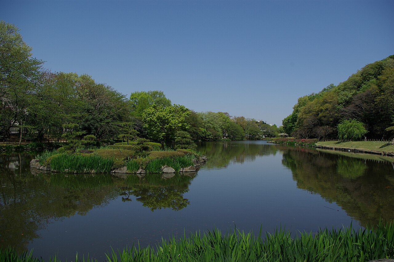 じゅん菜池緑地（市川市）の写真
