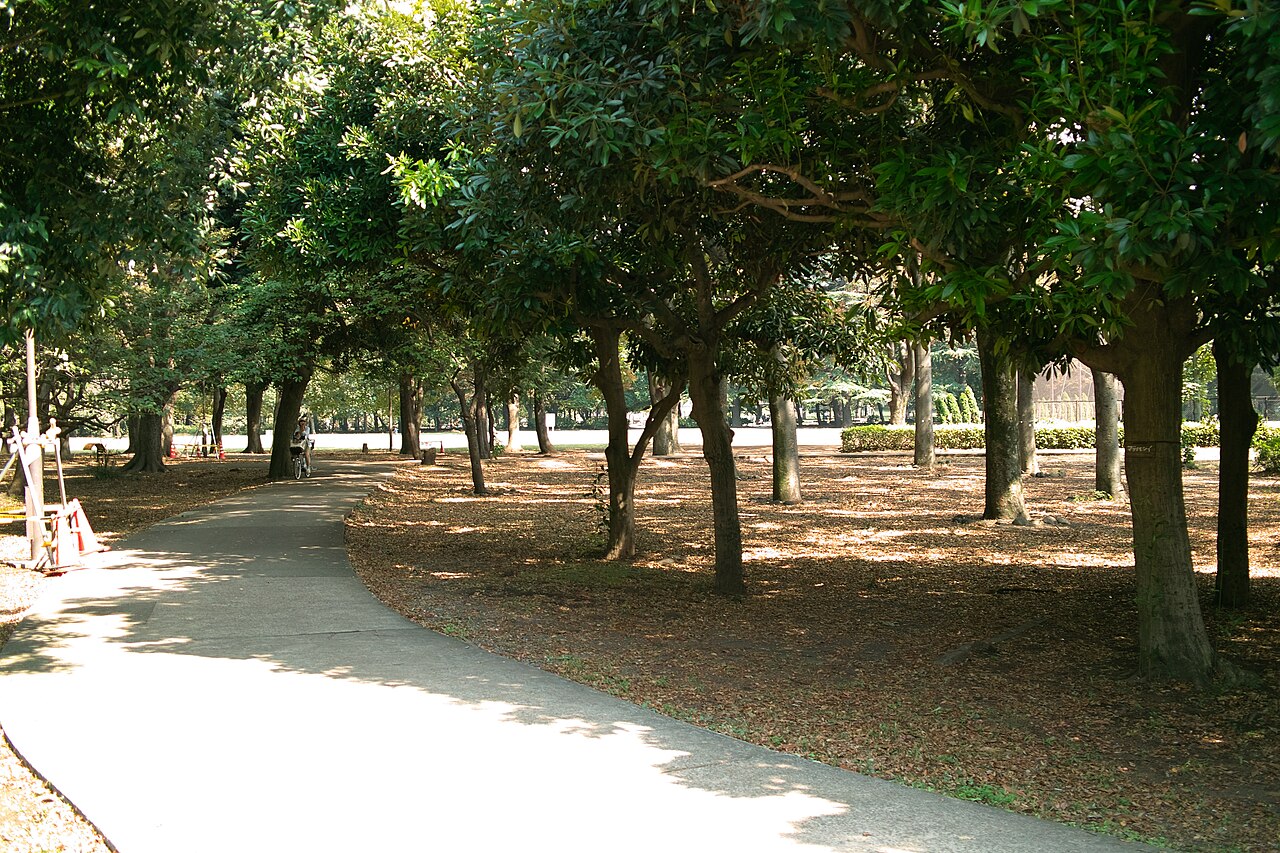 砧公園（世田谷区）の写真