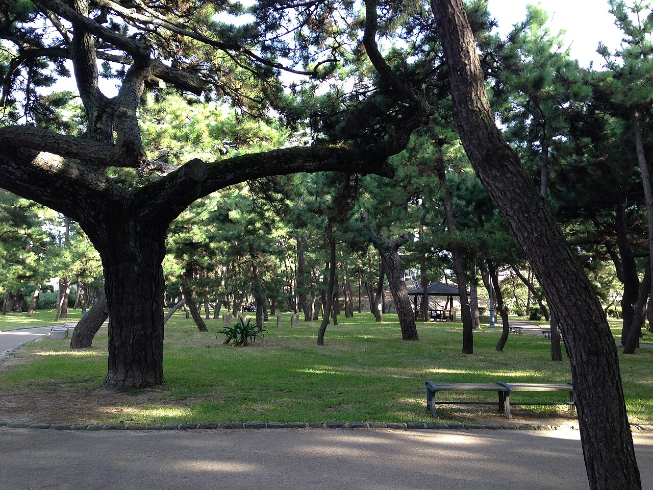 兵庫県立舞子公園（神戸市）の写真