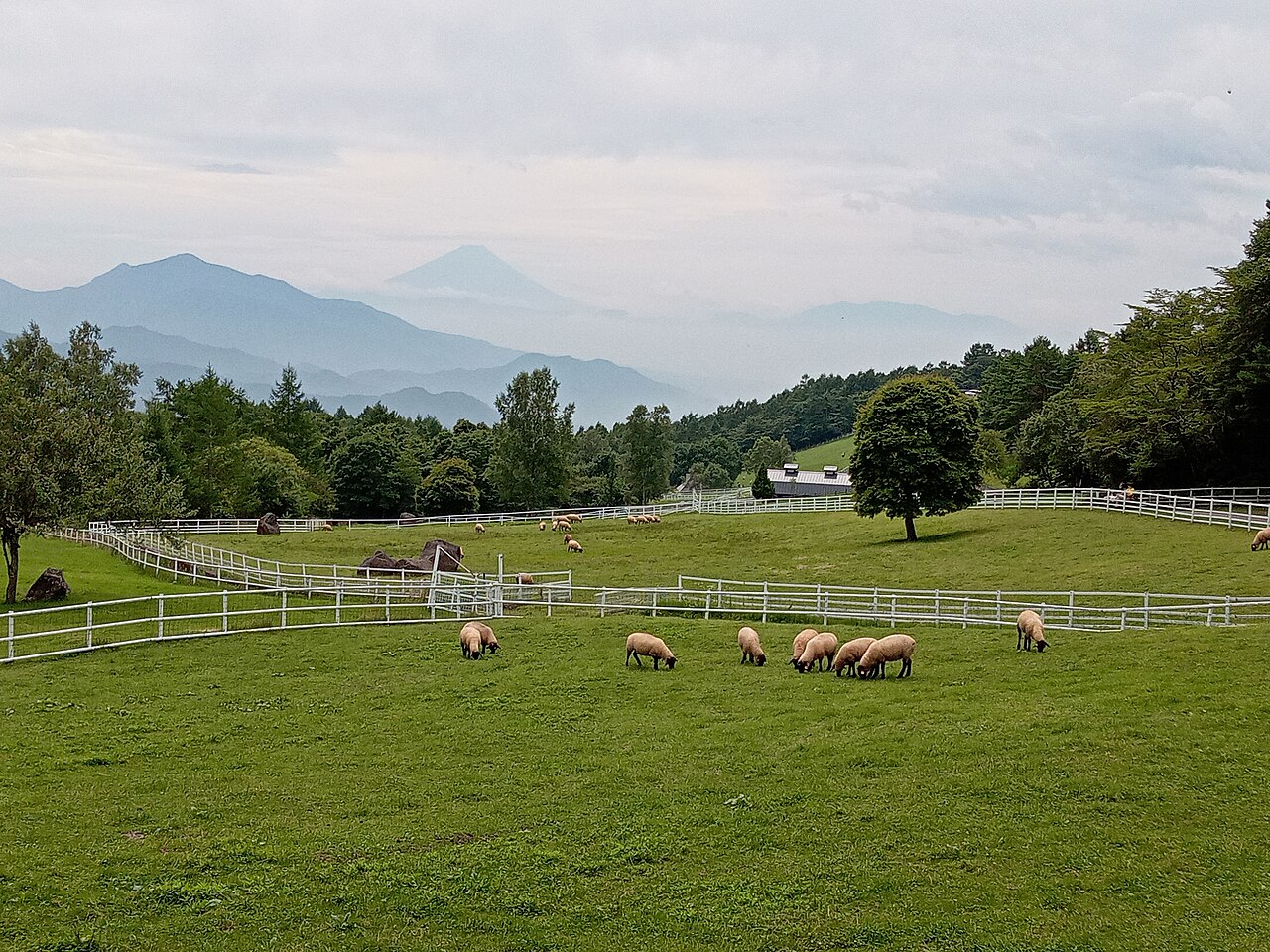 県立まきば公園（北杜市）の写真