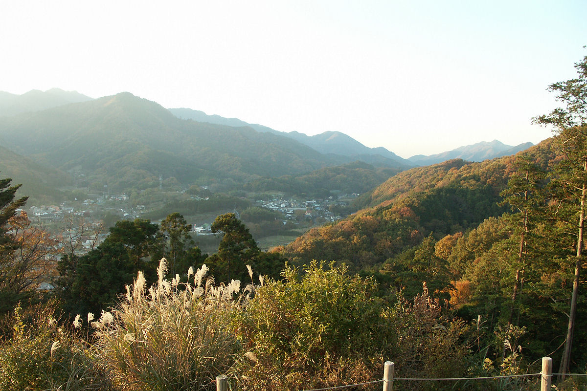 県立七沢森林公園（厚木市）の写真