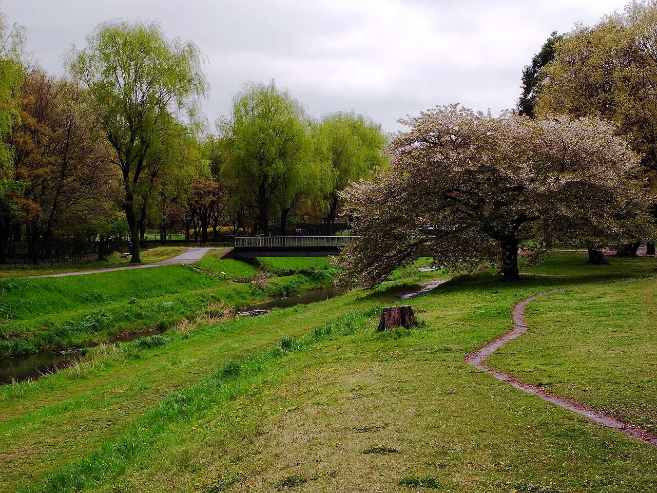 野川公園（三鷹市）の写真