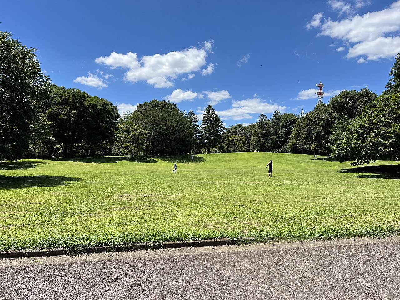 大泉中央公園（練馬区）の写真
