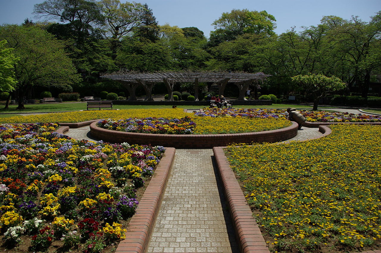 里見公園（市川市）の写真