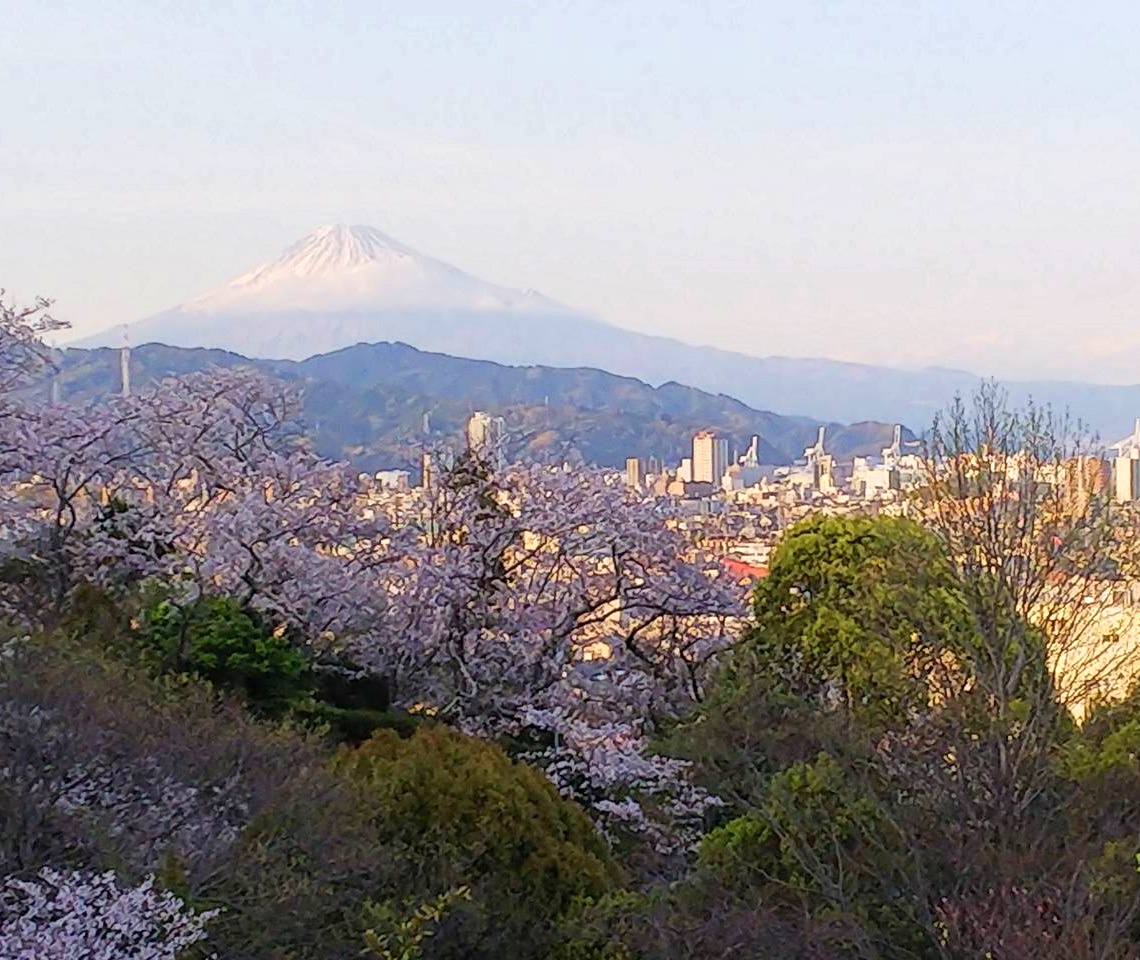 清水船越堤公園（静岡市清水区）の写真