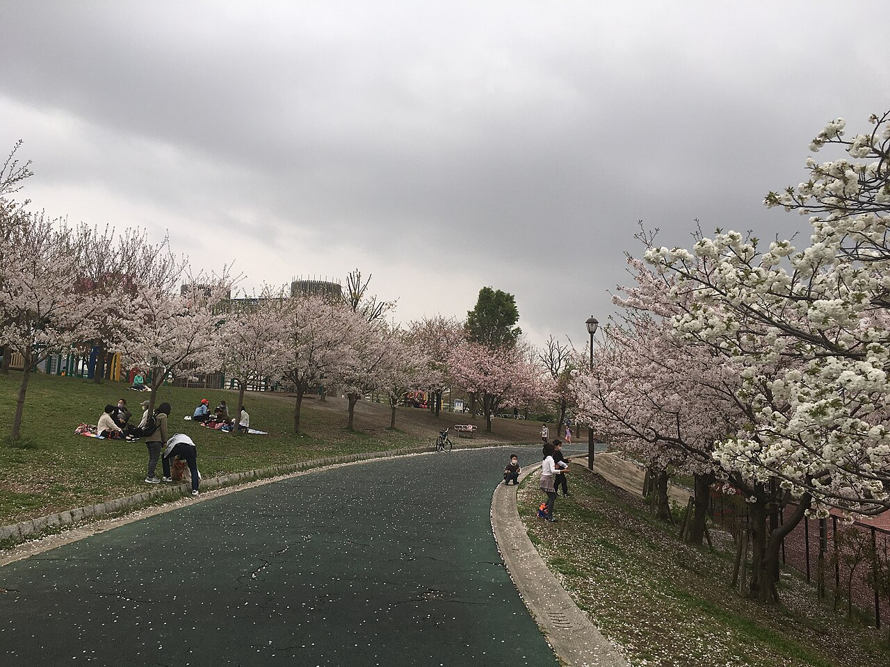 汐入公園（荒川区）の写真