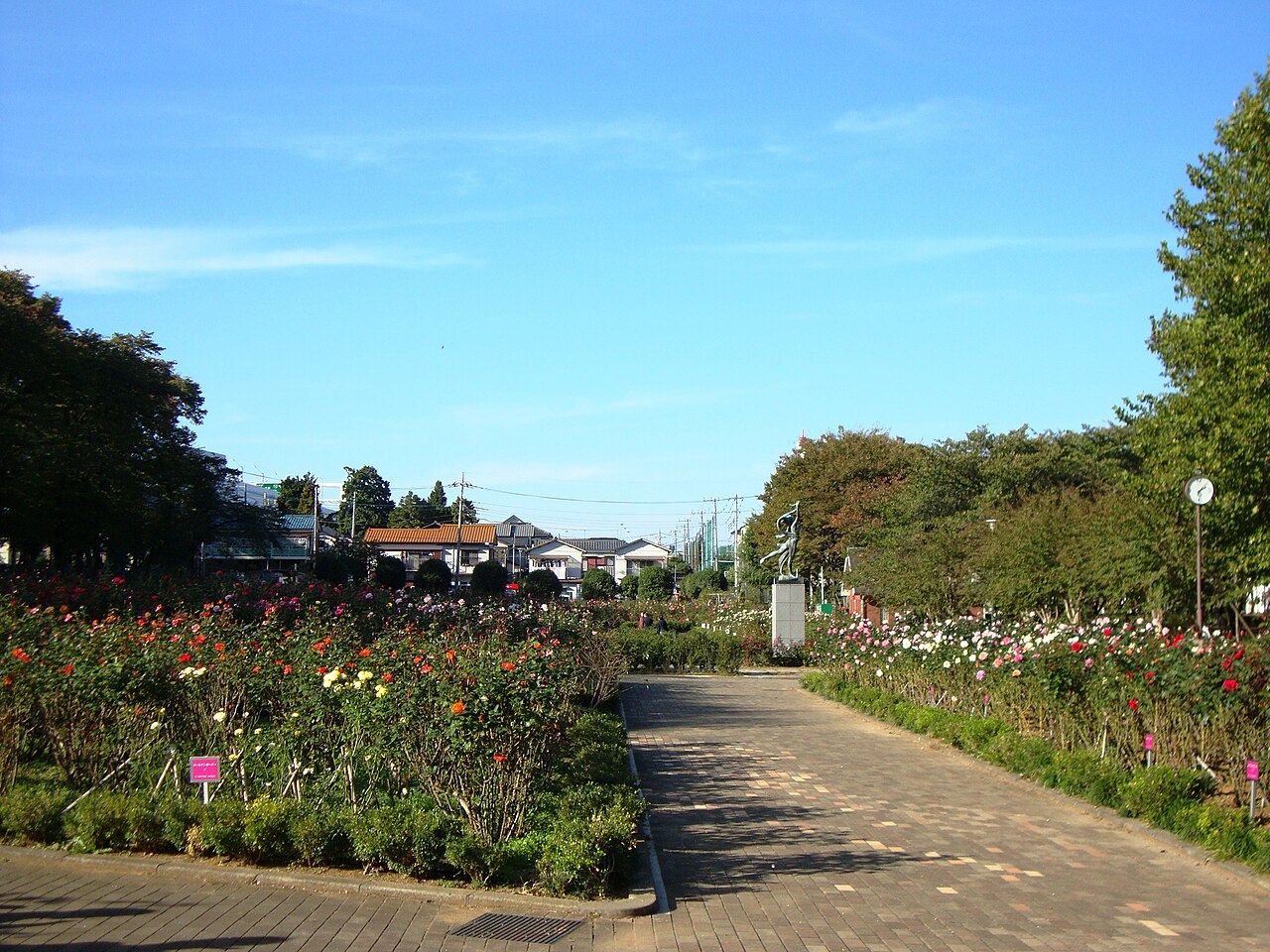 与野公園（さいたま市中央区）の写真