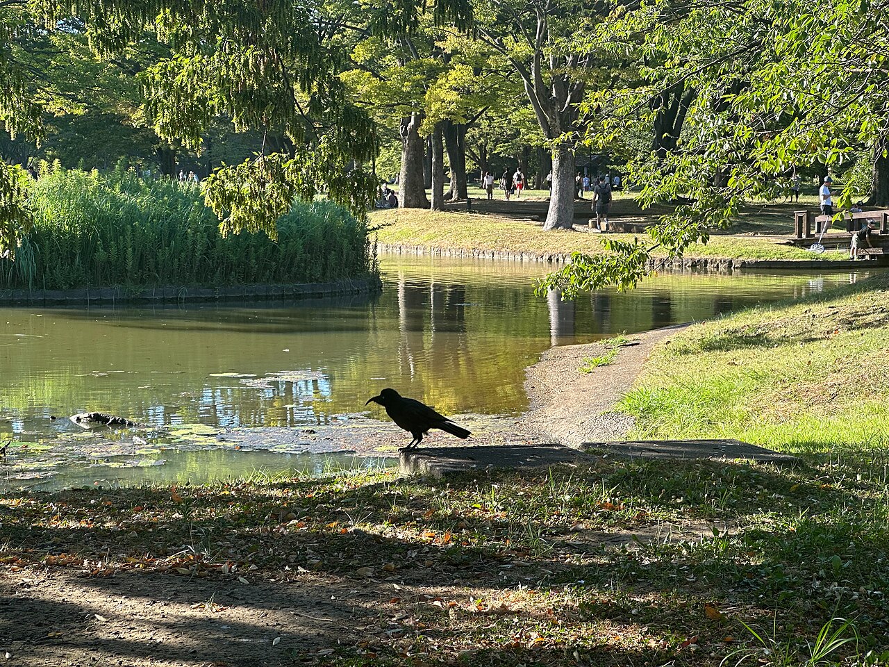 代々木公園（渋谷区）の写真