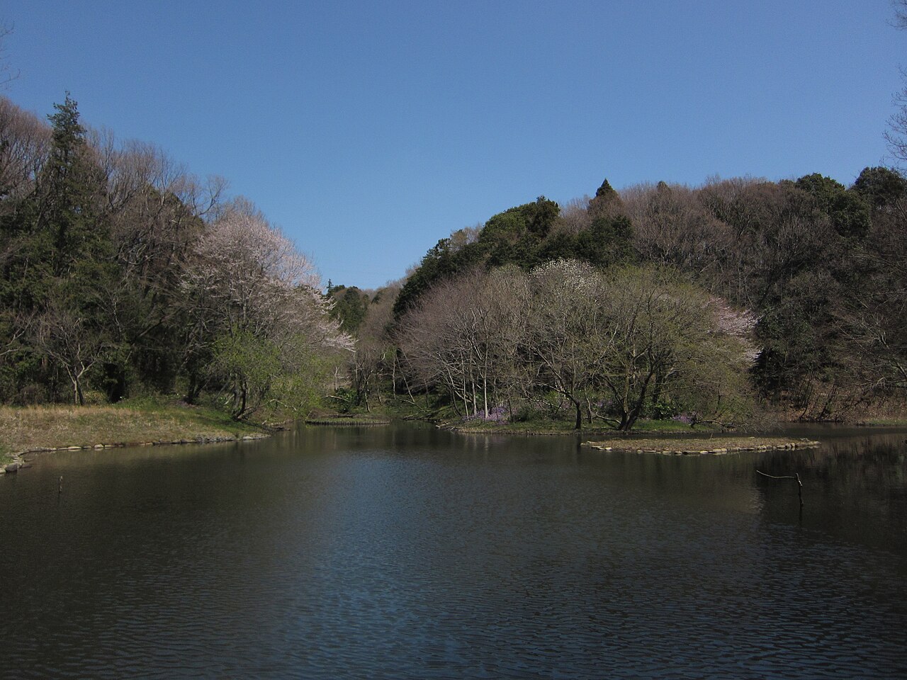県立座間谷戸山公園（座間市）の写真
