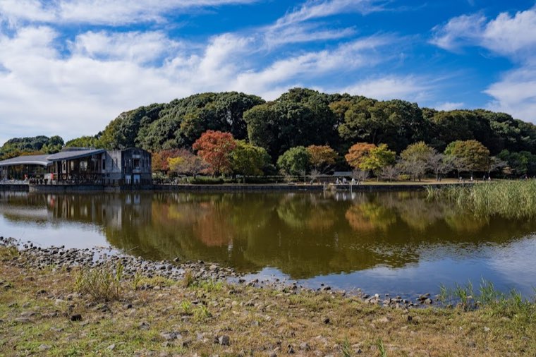 21世紀の森と広場の写真