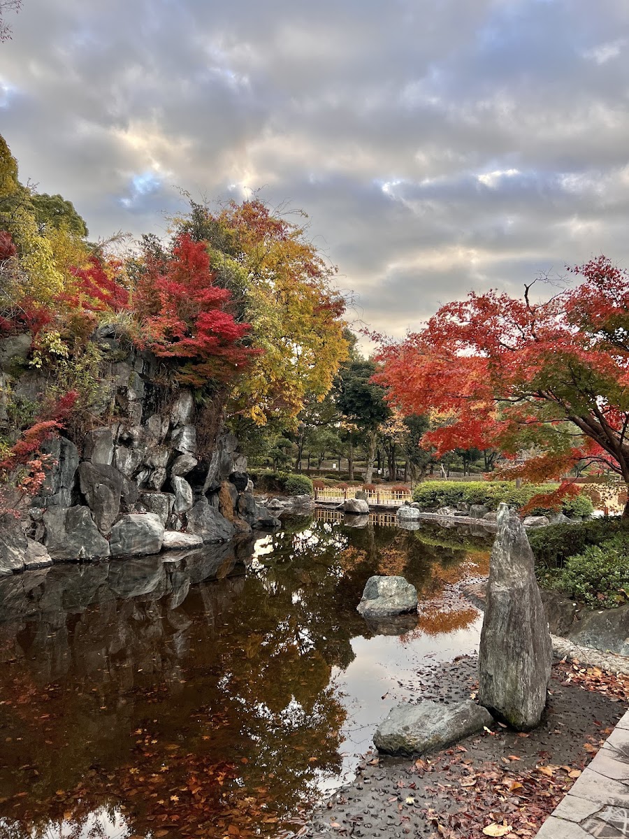 上尾丸山公園の写真