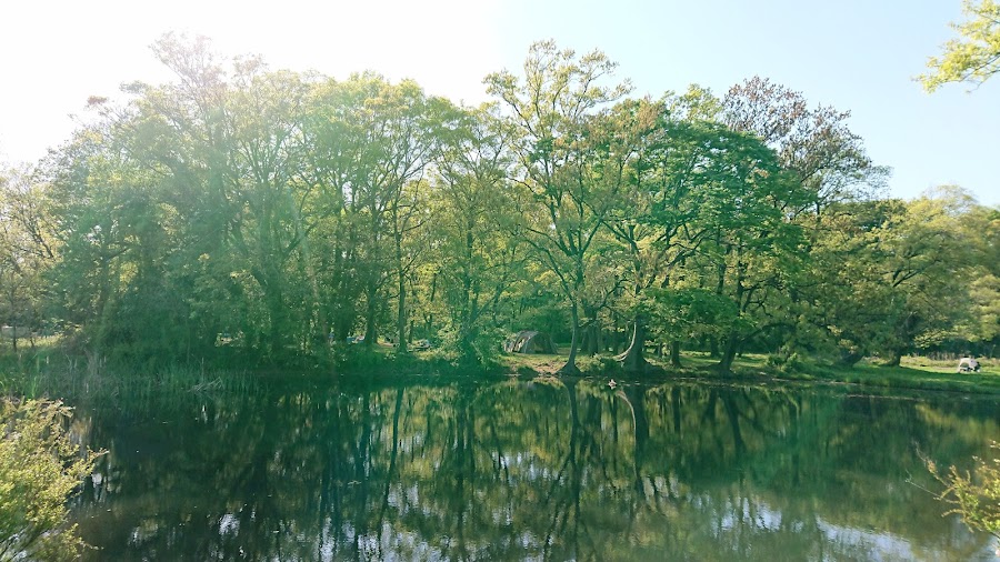 秋ヶ瀬公園の写真