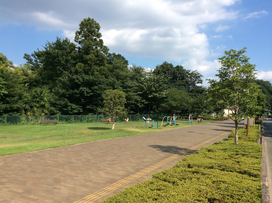 秋葉の森総合公園の写真