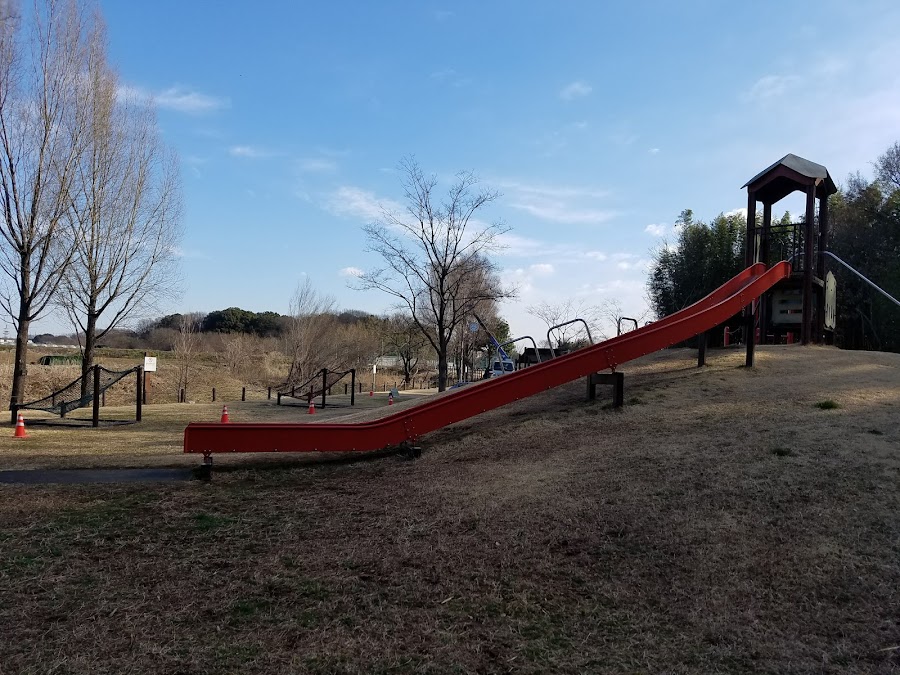 秋葉の森総合公園の写真