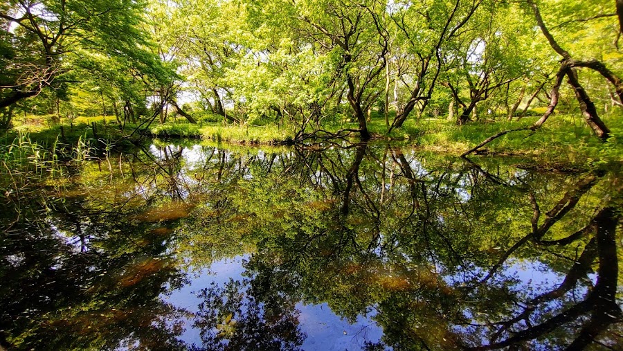秋葉の森総合公園の写真