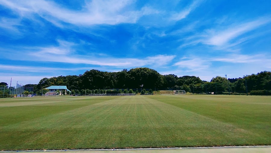 秋葉の森総合公園の写真