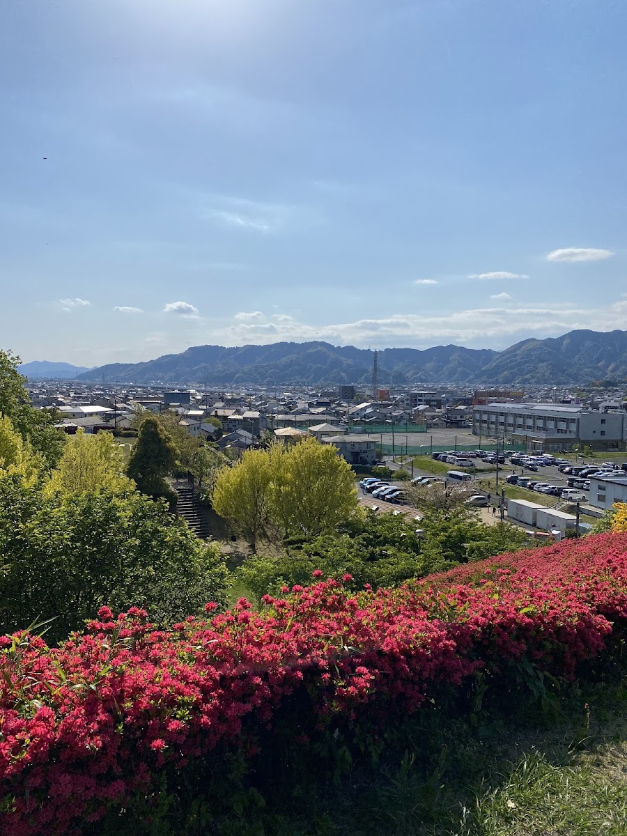 秋葉山公園の写真