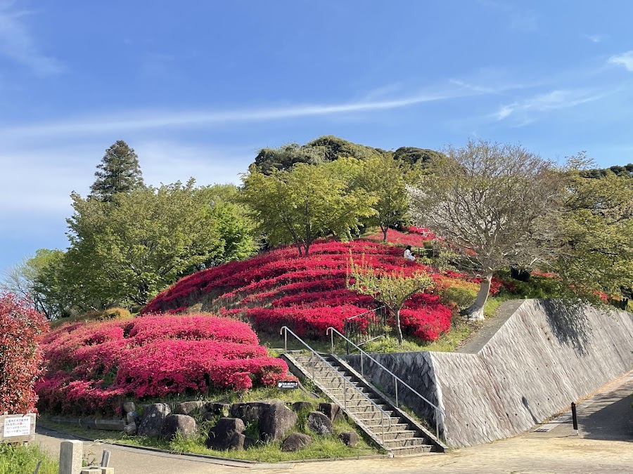 秋葉山公園の写真