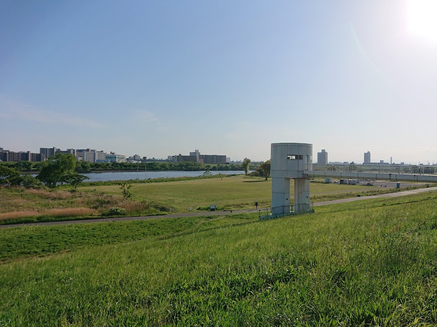 荒川運動公園ドッグランの写真