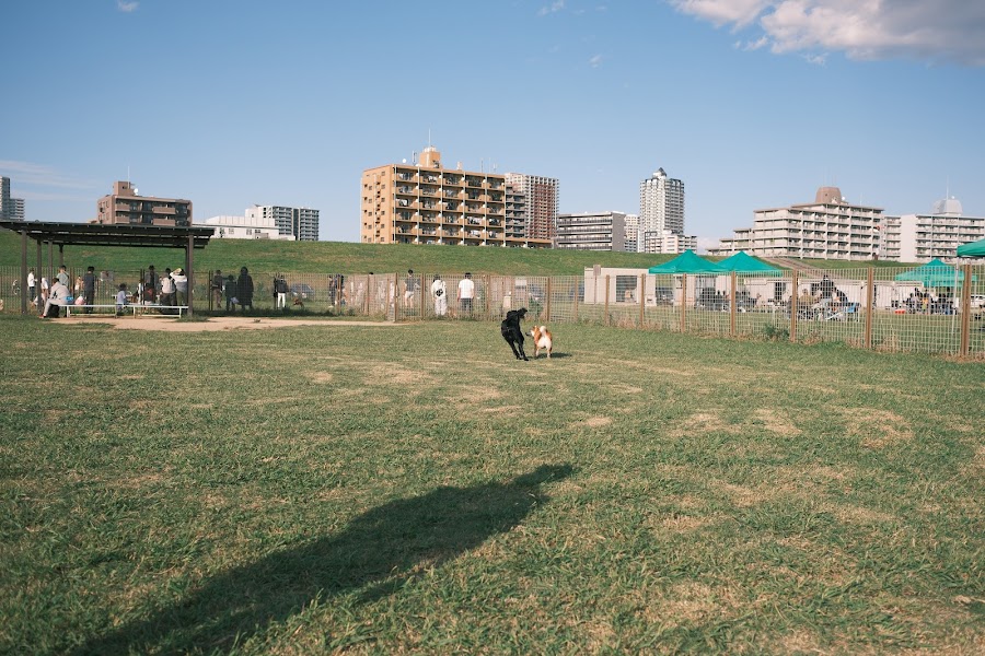 荒川運動公園ドッグランの写真
