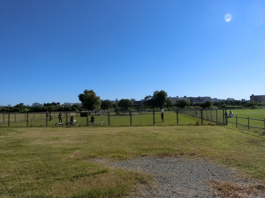 荒川運動公園ドッグランの写真