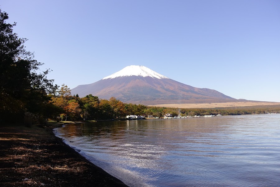 旭日丘湖畔緑地公園の写真
