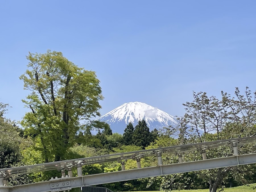 ドッグラン EXPASA足柄SA (上り)の写真