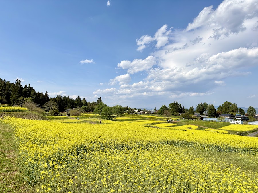 国営アルプスあづみの公園 (堀金・穂高地区)の写真