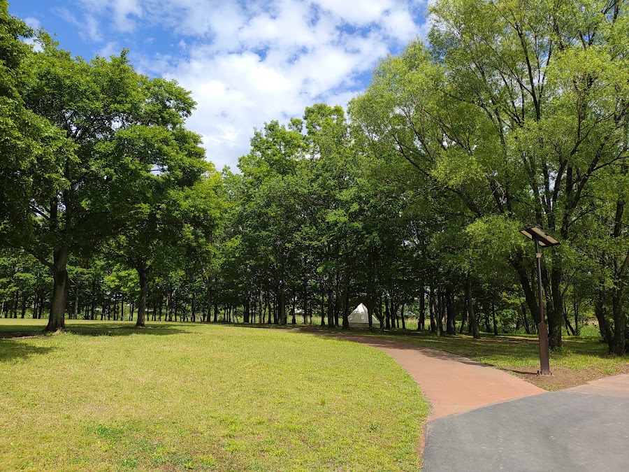 富士見市びん沼自然公園の写真