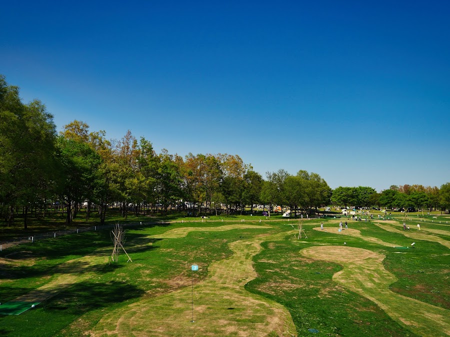 富士見市びん沼自然公園の写真