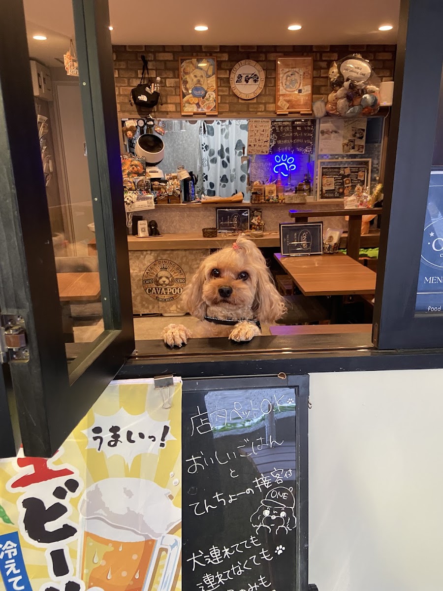 cafe&dining ONEの写真