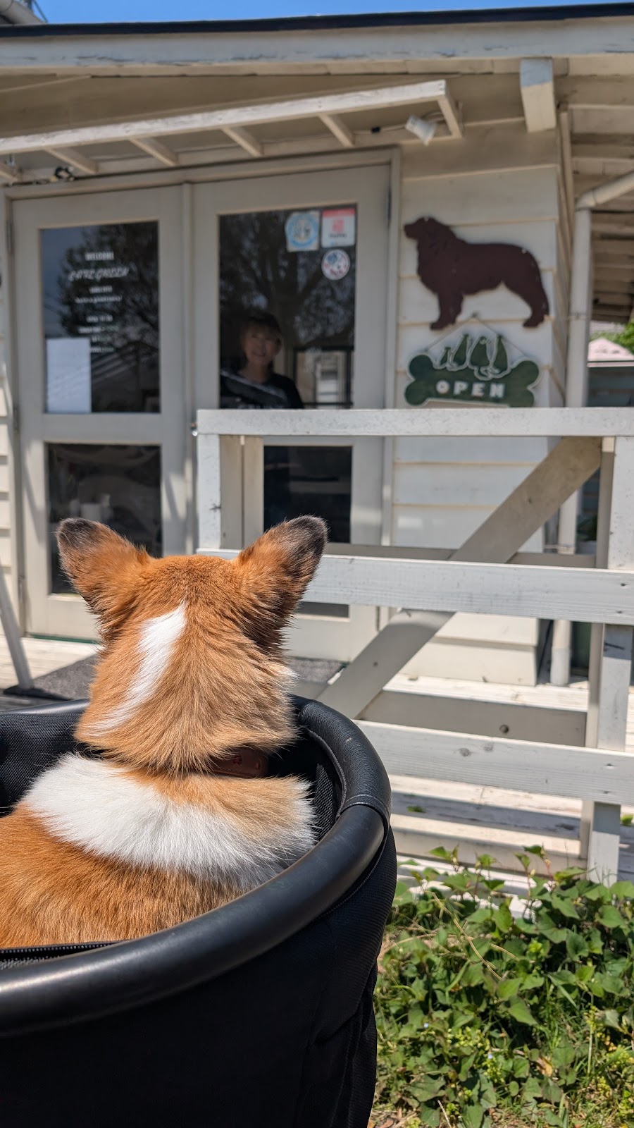 Cafe Greenの写真