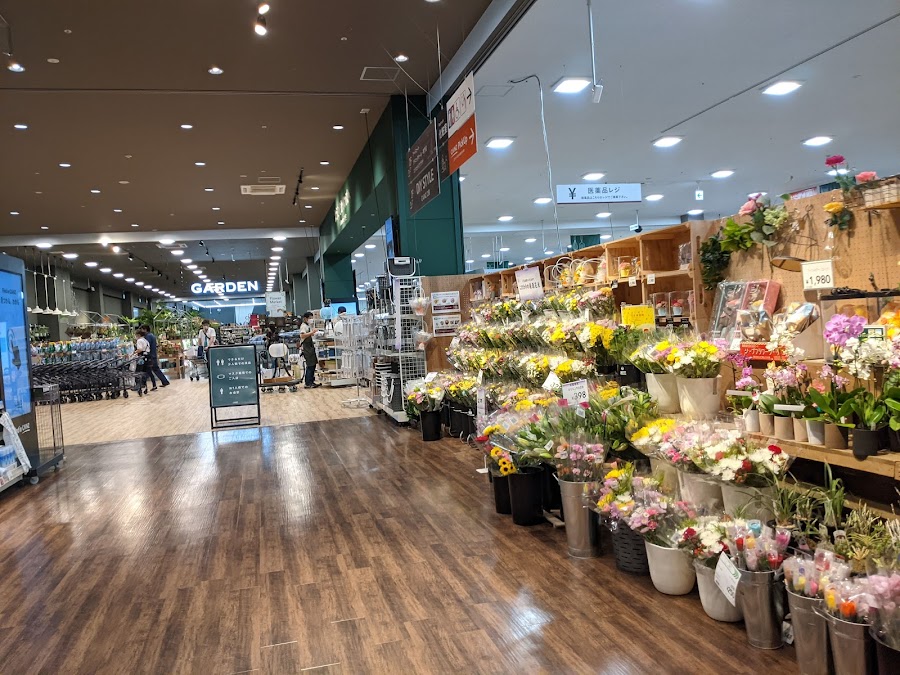 カインズ 朝霞店（くみまちモールあさか）の写真
