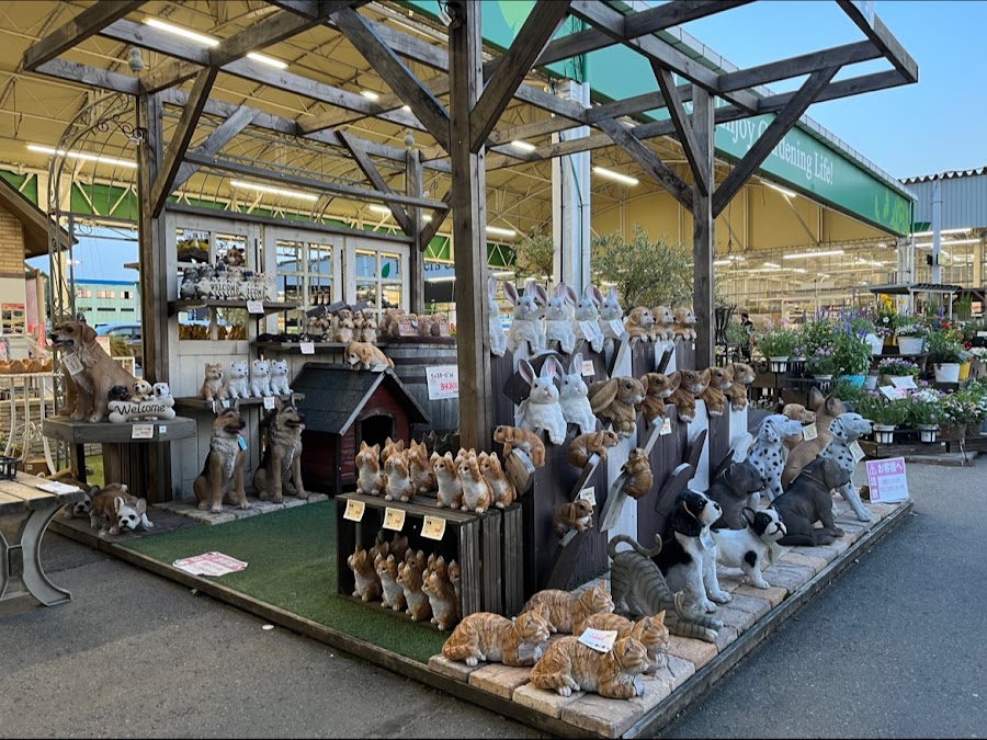 カインズ 千葉ニュータウン店の写真