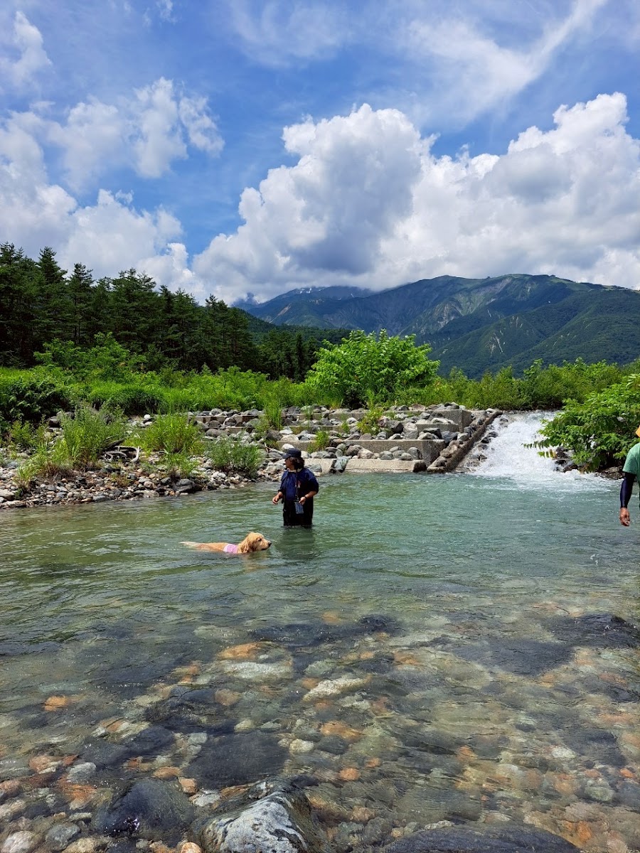 Romperdog Run&Siteの写真