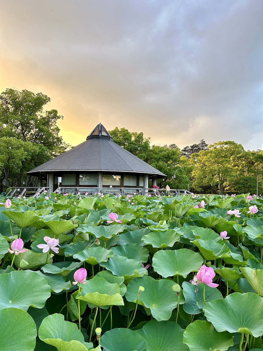 千葉公園の写真