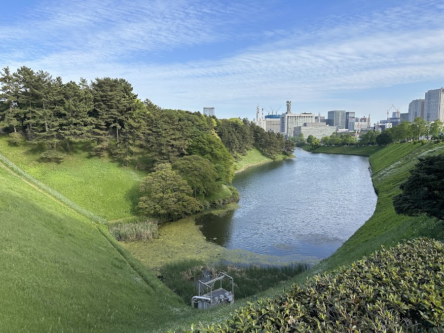 千鳥ヶ淵公園の写真